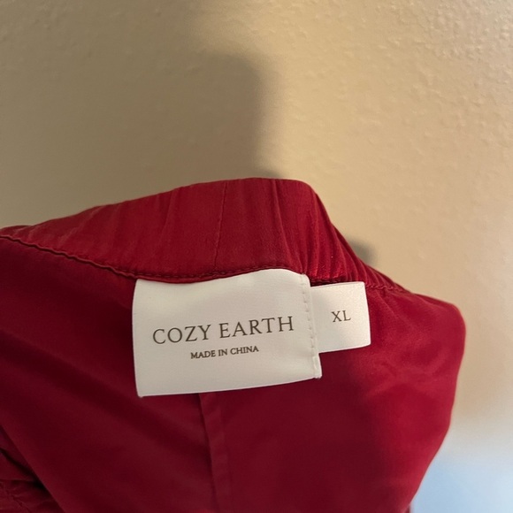 Cozy Earth Red Serenity Silk Classic Pajama Shorts XXL - Picture 10 of 12